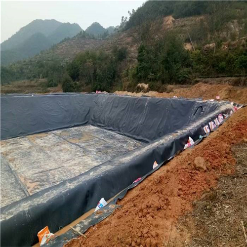 您了解魚(yú)塘防滲膜施工方法有哪些嗎？